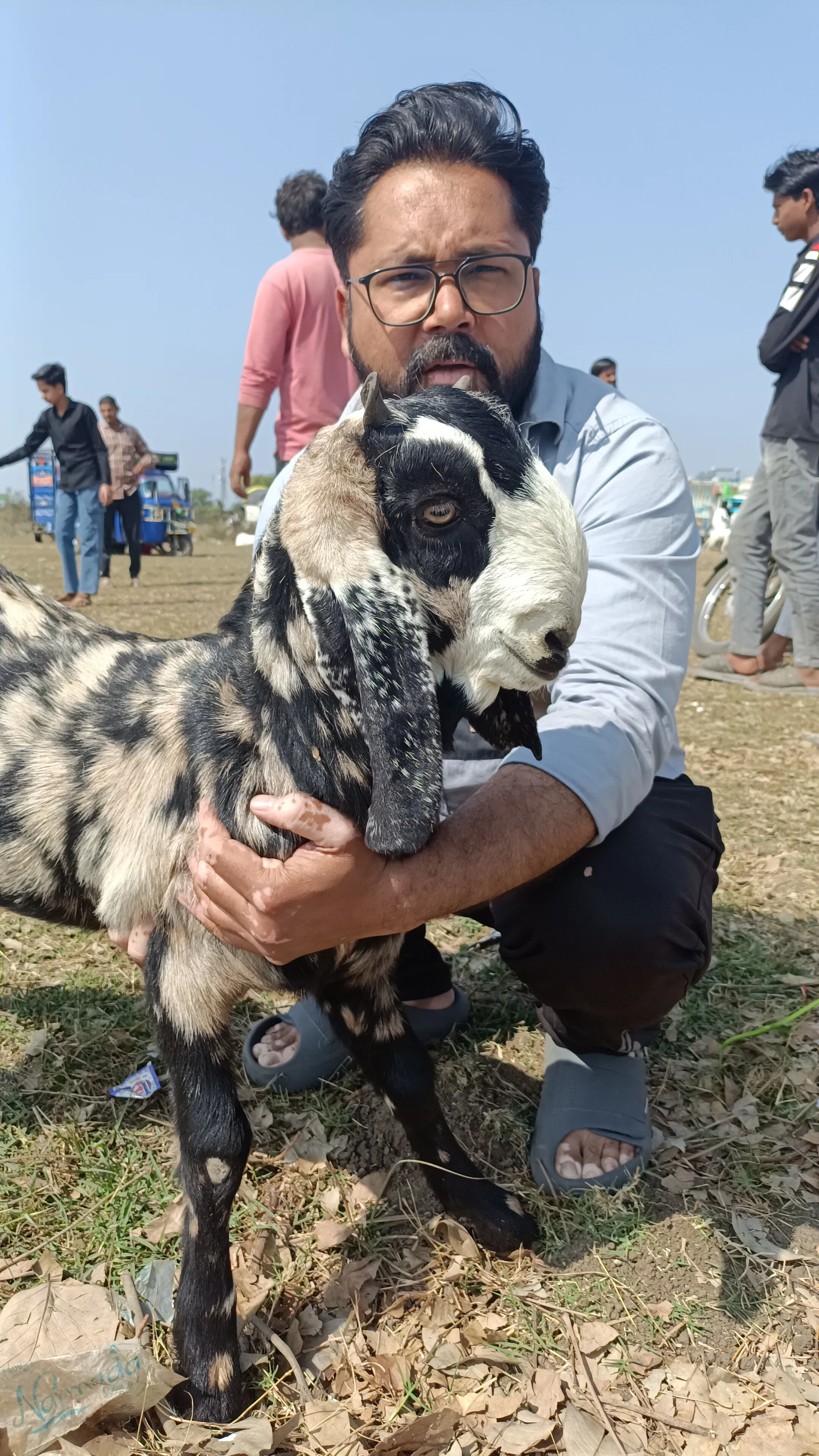bakra image