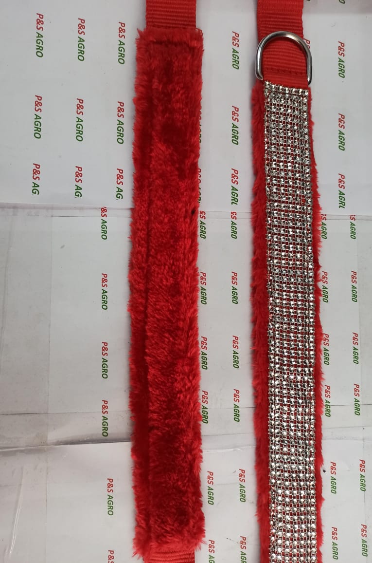 Red Belt