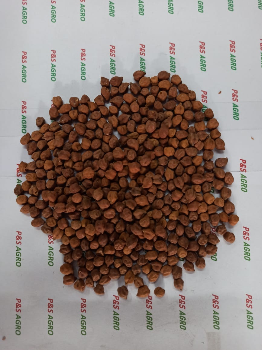 Chana retail 