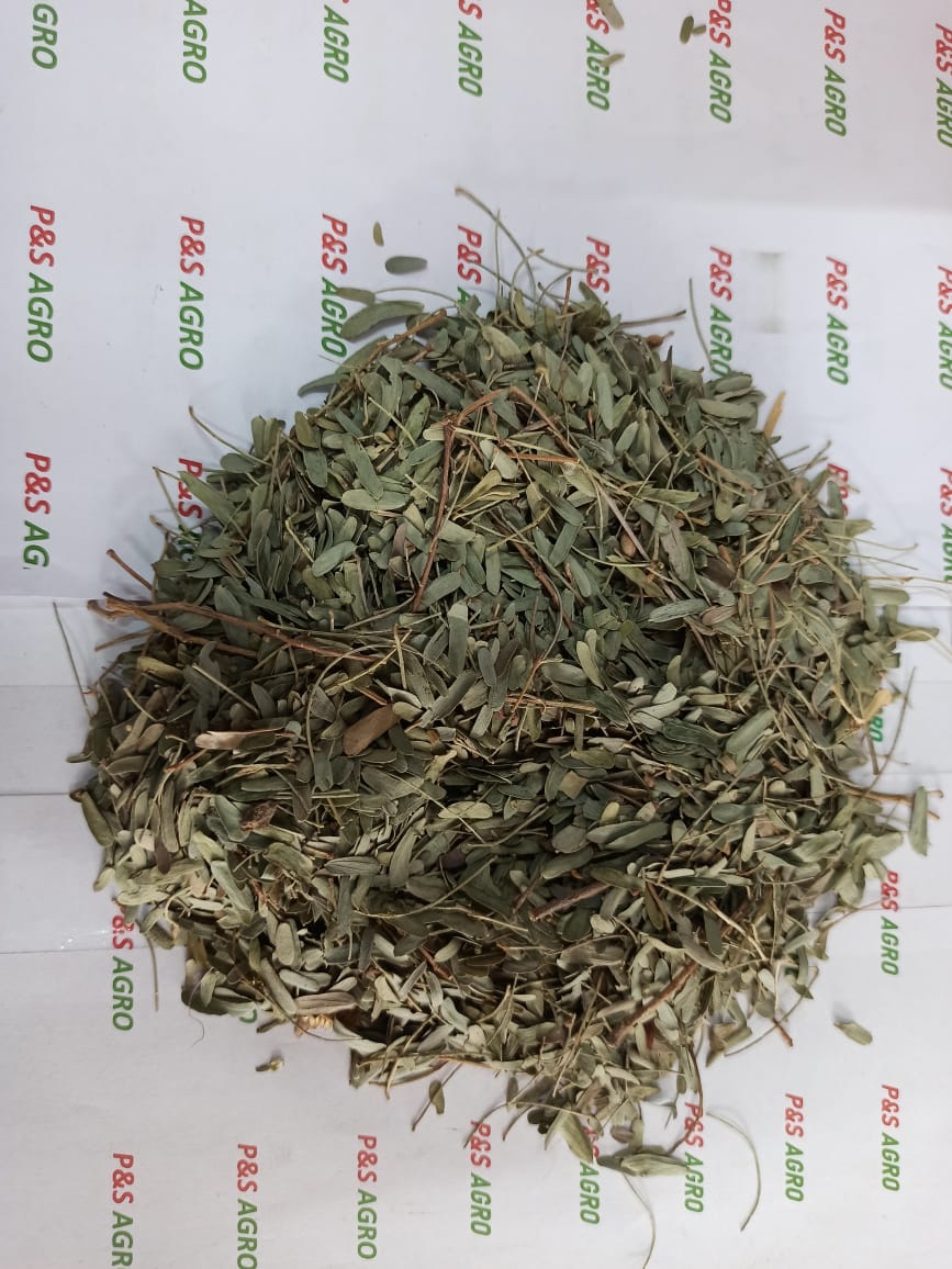 Semi hari patti 